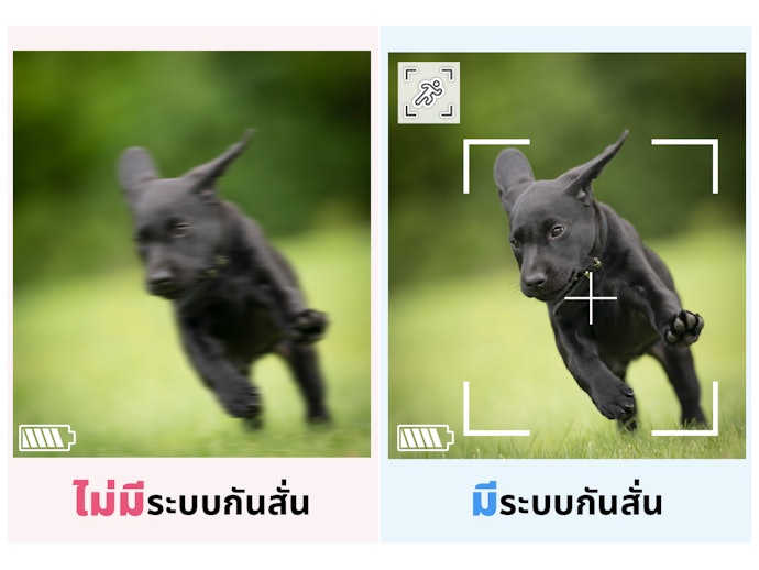 ระบบกันสั่น