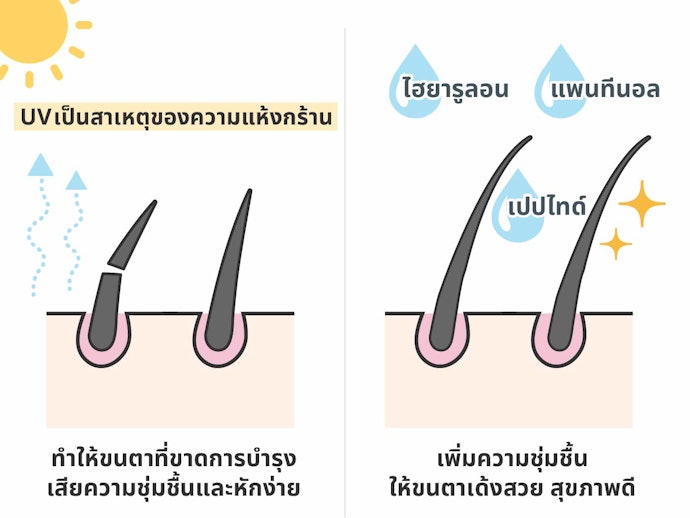 เซรั่มบำรุงขนตาที่มีส่วนผสมเพิ่มความชุ่มชื่น ฟื้นฟูขนตาที่แห้งกร้าน