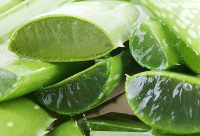 คลีนซิ่งเจลสูตรว่านหางจระเข้ (Aloe Vera) : ช่วยให้ผิวชุ่มชื้น มีน้ำมีนวล