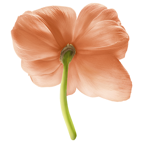 กลิ่นแนว Floral