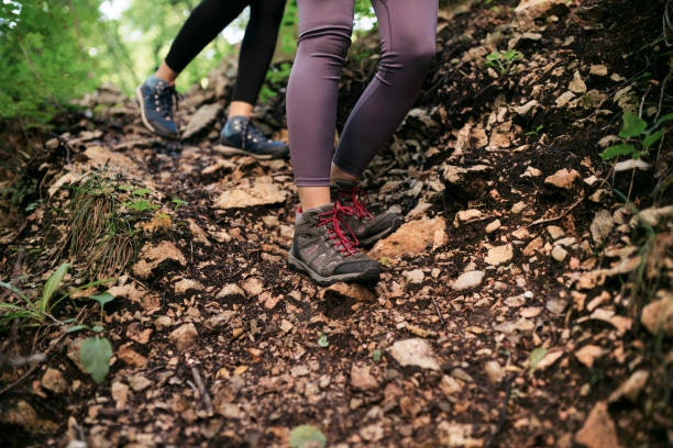 สำหรับเส้นทางขรุขระหรือมีระยะทางค่อนข้างไกล เลือกแบบ Hiking Boots
