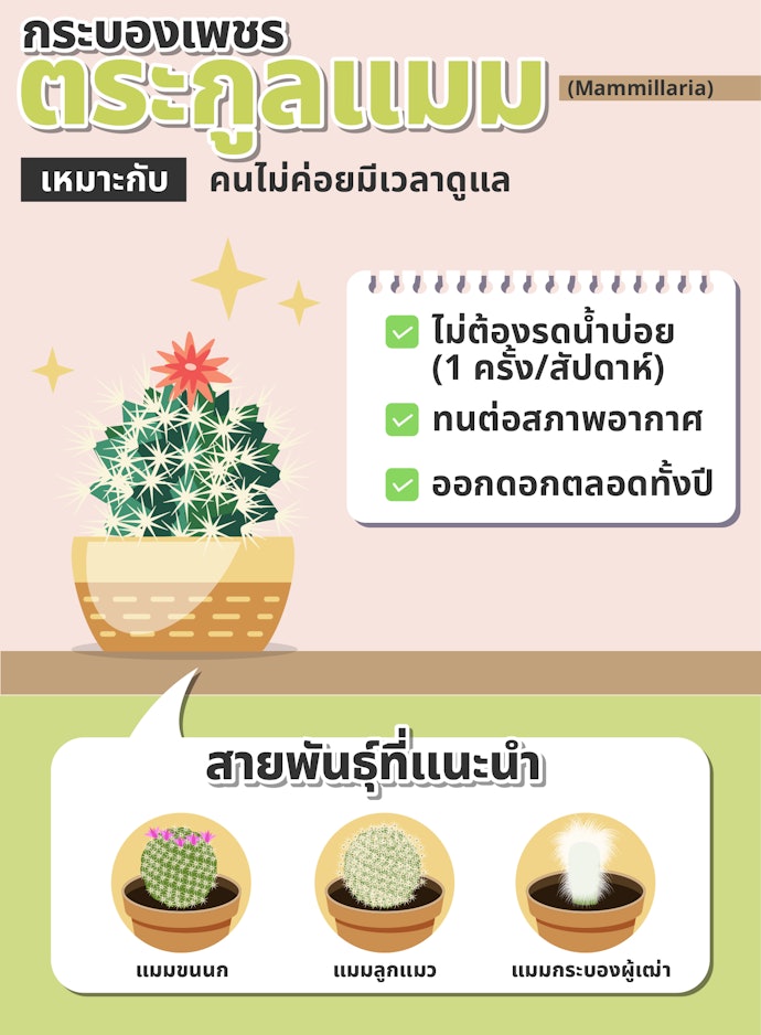 สายพันธุ์ที่มีปุยขนสวยงาม