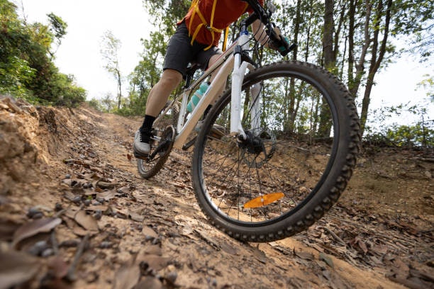 รองเท้าสำหรับปั่นจักรยานเสือภูเขา, Commuting, Touring และ Gravel Bike